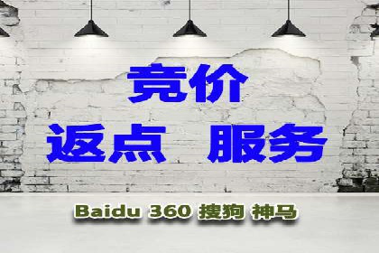 竞价推广实战：成功案例背后的技巧揭秘